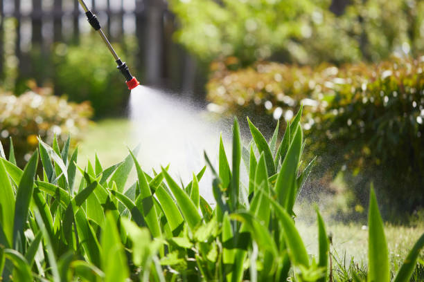 24/7 Emergency Cockroach Control experts in Dauphin Island, AL