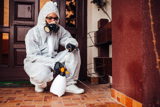 Reliable Cockroach Control contractor in Dauphin Island, AL by Nex Pest Control